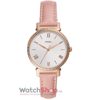 Ceas Fossil DAISY ES4794