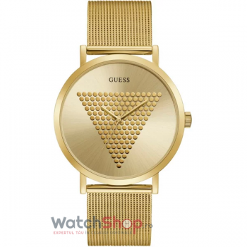 Ceas Guess IMPRINT GW0049G1