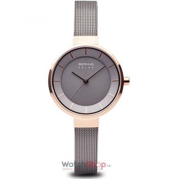 Ceas Bering Solar 14631-369