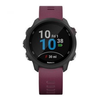 Smartwatch Garmin Forerunner 245, GPS, Visiniu ieftin