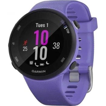 Smartwatch Garmin Forerunner 45s, Iris