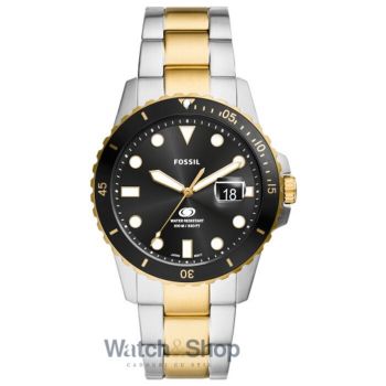 Ceas Fossil BLUE GMT FS6031