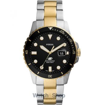Ceas Fossil FS5951