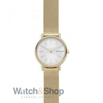 Ceas Skagen Signature Slim SKW2693
