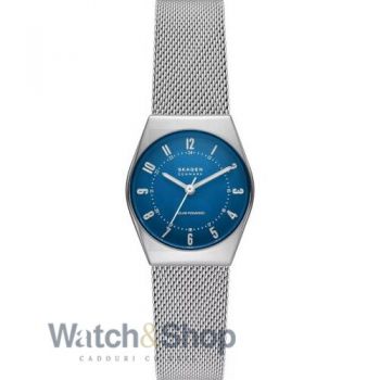 Ceas Skagen SKW3080