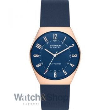 Ceas Skagen SKW6834