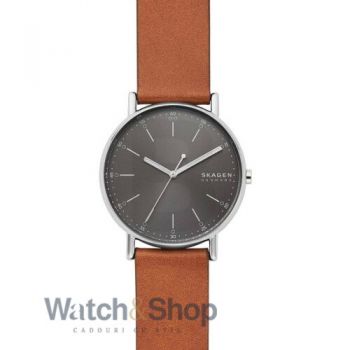Ceas Skagen SKW6578