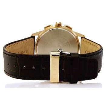 Citizen Elegant AT8113-12H