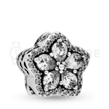 Pandora Talisman 799224C01 799224C01