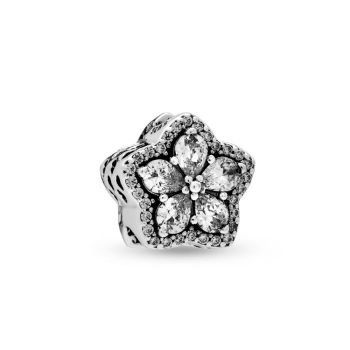 Pandora Talisman 799224C01 799224C01