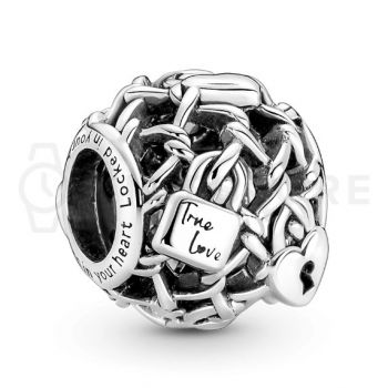 Charm Pandora Moments 790071C00