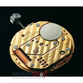 WatchShop Curatare contacte quartz