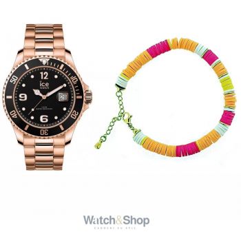 Ceas ICE 020909