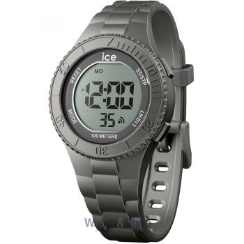 Ceas ICE 021610