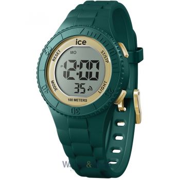 Ceas ICE 021619