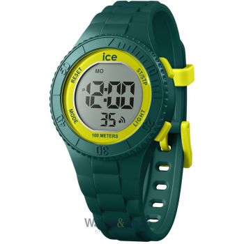 Ceas ICE 021622