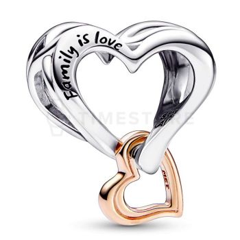 Charm Pandora Moments 782642C00