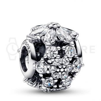 Charm Pandora Timeless 792383C01