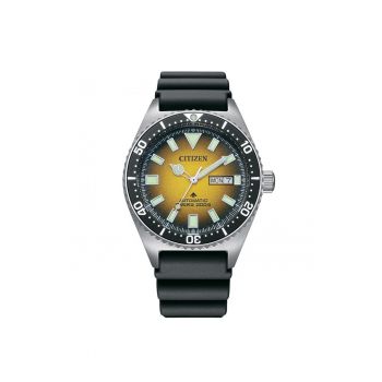 Ceas bărbătesc -  Promaster Dive - automat - inox