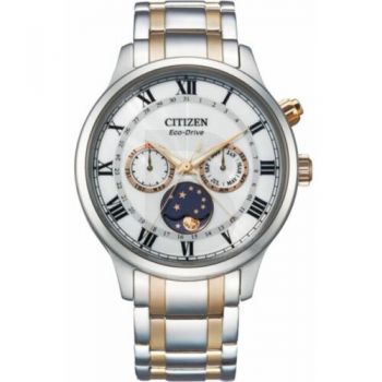 Ceas Citizen Citizen Eco-Drive AP1054-80A