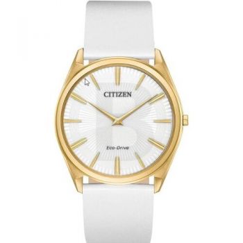 Ceas Citizen Citizen Eco-Drive AR3072-09A