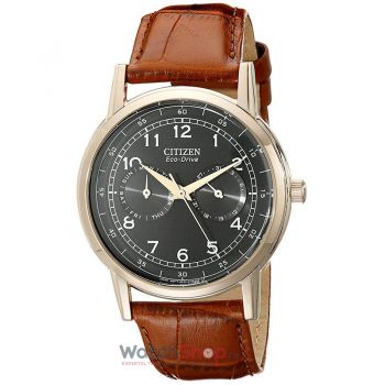 Ceas Citizen Sports AO9003-08E Eco Drive