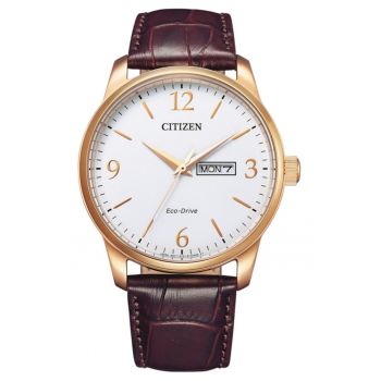 Ceas barbatesc  BM8553-16AC Quartz Maro