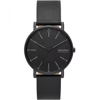 Ceas Skagen Skagen SKW6902