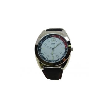 Ceas barbatesc  Q188J301Y