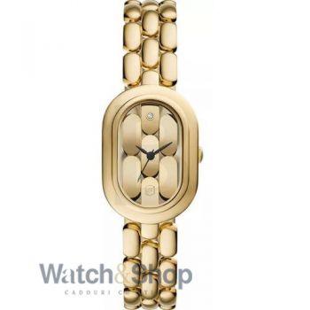 Ceas Fossil Fossil Sloan ES5380