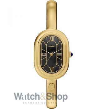 Ceas Fossil Fossil Sloan ES5456