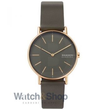 Ceas Skagen Skagen SKW2794