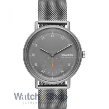 Ceas Skagen Skagen SKW6891