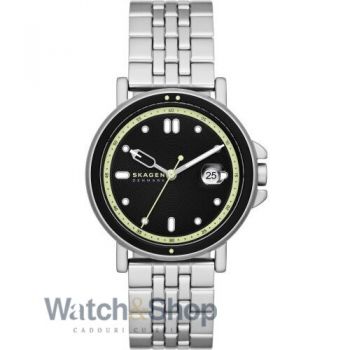 Ceas Skagen Skagen SKW6919