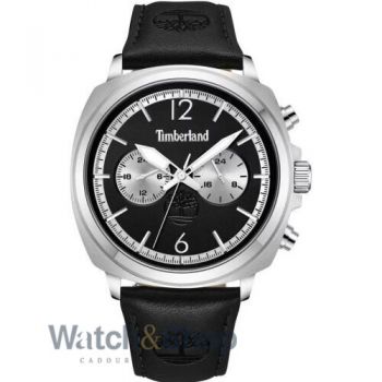 Ceas Timberland Timberland Williston TDWGF0028202