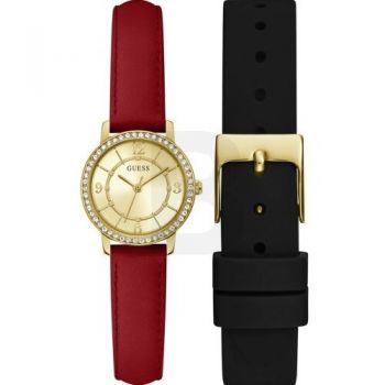 Ceas Guess Guess Box Set GW0643L2